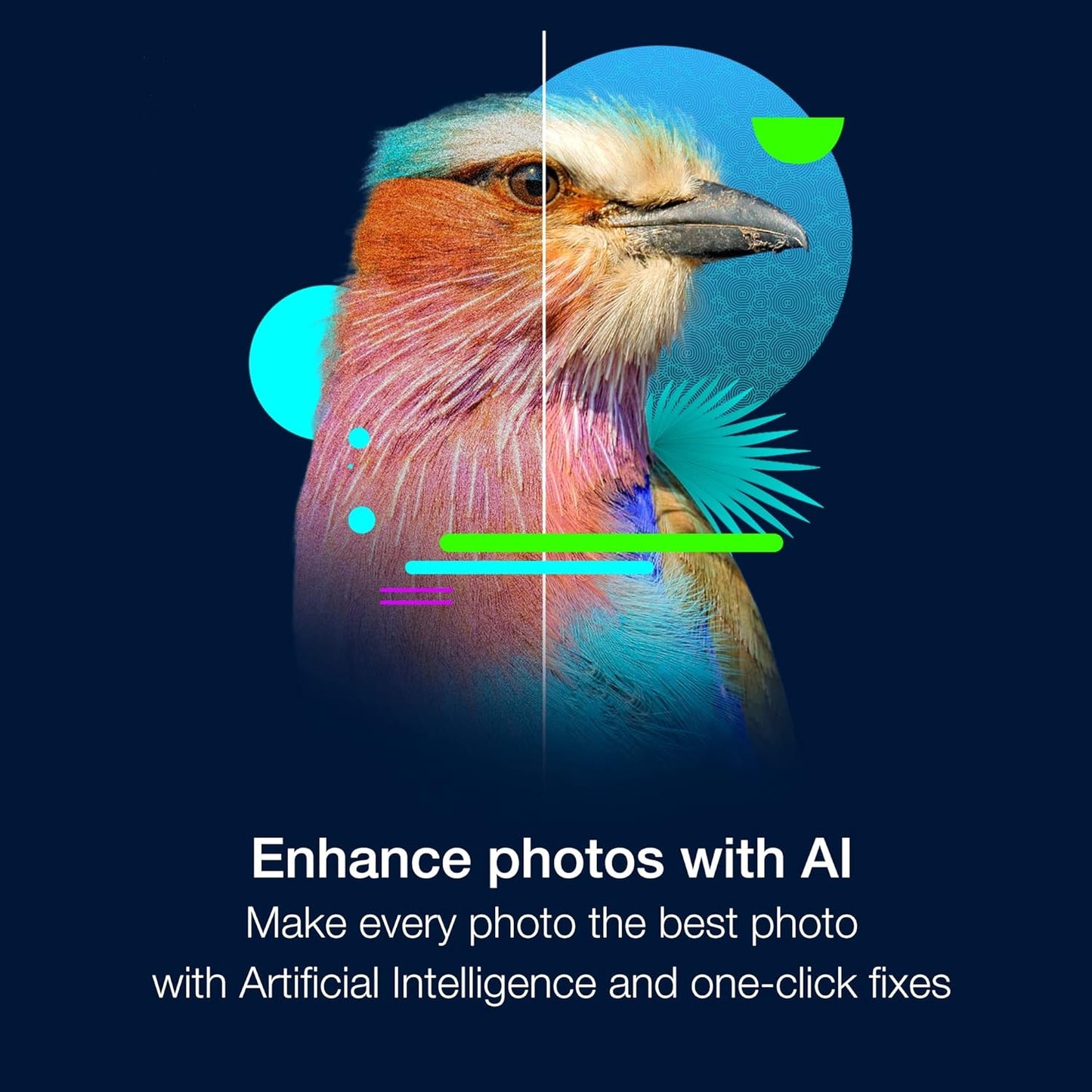 Corel PaintShop Pro 2023 Ultimate | Powerful Photo Editing & Graphic Design Software + Creative Suite | ParticleShop + 5 Brush Starter Pack